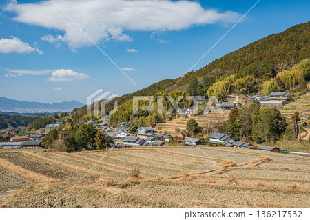 奈良縣飛鳥村的冬季梯田 136217532