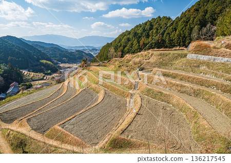 Rice terraces in the Asuka Murakami area, Nara Prefecture 136217545