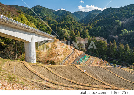 Rice terraces and Kitsuwaki Bridge in Asuka Murakami, Nara Prefecture Rice terraces and Kitsuwaki Bridge in Asuka Murakami, Nara Prefecture 136217553