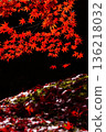 Bright red autumn leaves 136218032