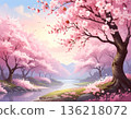 Cherry blossom trees along a calm river 136218072