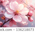 Beautiful spring scenery with cherry blossoms and buds. Close-up image. 136218073