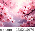 Beautiful cherry blossoms and warm spring atmosphere 136218079
