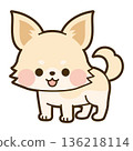 Cute chihuahua illustration 136218114