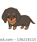 Illustration of a black and tan miniature dachshund 136218115