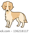 Borzoi illustrations 136218117