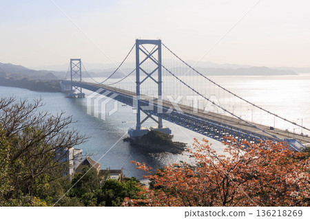 德島縣鳴門市Onaruto Bridge 136218269