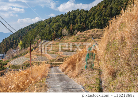 Farm roads in the Kamura area of Asuka, Nara Prefecture Farm roads in the Kamura area of Asuka, Nara Prefecture 136218692