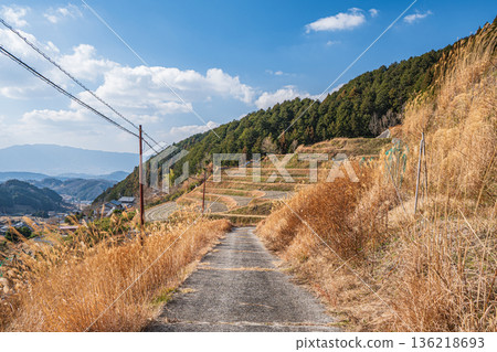 奈良縣飛鳥市神村地區的農場道路 136218693
