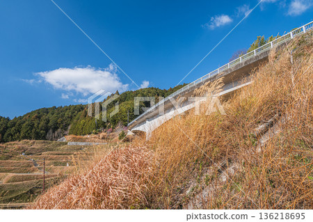 奈良縣飛鳥村上市的梯田和木脇橋 136218695