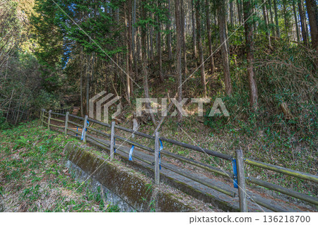 奈良縣飛鳥村,通往丹山神社的山路 奈良縣飛鳥村,通往丹山神社的山路 136218700