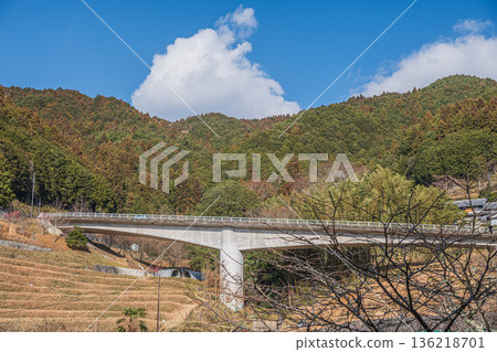 奈良縣飛鳥村上市的梯田和木脇橋 136218701