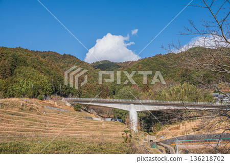 奈良縣飛鳥村上市的梯田和木脇橋 136218702