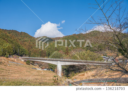 奈良縣飛鳥村上市的梯田和木脇橋 136218703