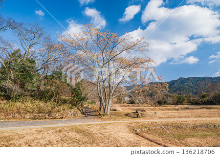 奈良縣飛鳥村石舞台墓園廣場 136218706