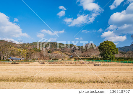 Ishibutai Tomb Lawn Square, Asuka Village, Nara Prefecture 136218707