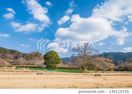 Ishibutai Tomb Lawn Square, Asuka Village, Nara Prefecture 136218708