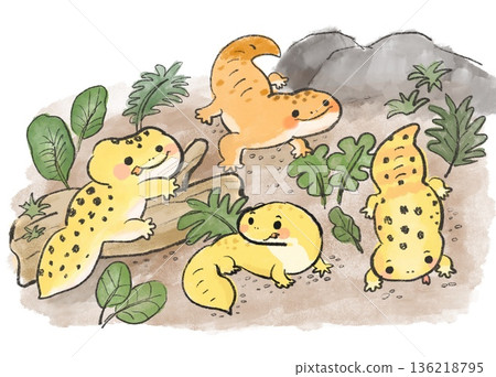 豹紋守宮的水彩插圖 136218795