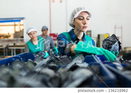 Woman in apron stacking red cabbage in vegetable warehouse 136218962