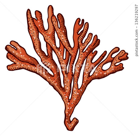 Underwater botany icon. Aquarium decoration. Red coral Underwater botany icon. Aquarium decoration. Red coral 136219297