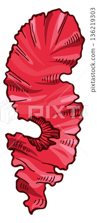 Red lettuce icon. Marine seaweed color drawing 136219303