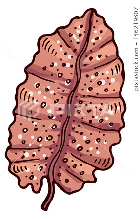 Brown underwater leaf. Sea botany. Flora drawing 136219307