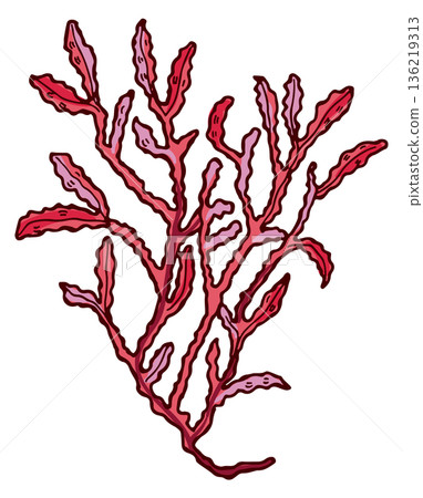 Underwater red algae. Tropical botany color drawing 136219313