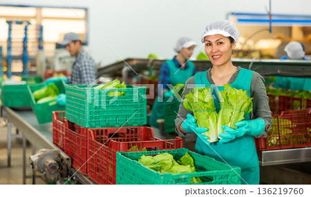 Portrait of female worker standing with fresh lettuce in her hands at vegetable sorting factory Portrait of female worker standing with fresh lettuce in her hands at vegetable sorting factory 136219760
