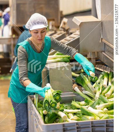 Workwoman washing green onions on sorting line in vegetable processing factory Workwoman washing green onions on sorting line in vegetable processing factory 136219777