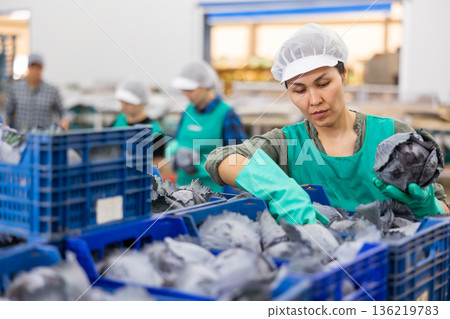 Portrait of woman working at warehouse, checking quality of red cabbages in boxes 136219783