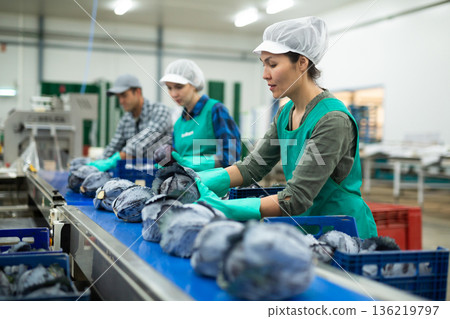 Female worker sorting red cabbage on a vegetable processing factory 136219797