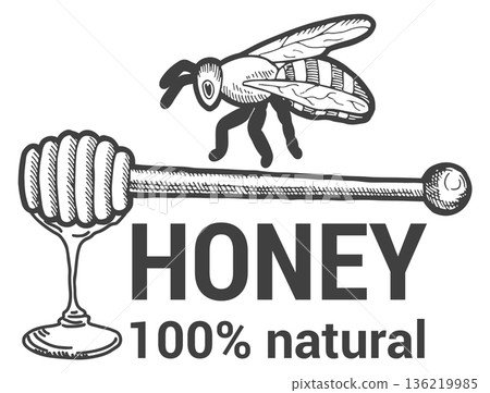 Honey emblem. Natural product hand drawn logo Honey emblem. Natural product hand drawn logo 136219985