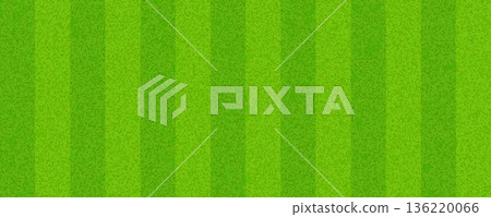 Grass field background concept. Abstract green turf texture. Artificial sport field surface design for football, baseball, soccer game. Textured fake golf lawn ground wallpaper. Vector illustration 136220066