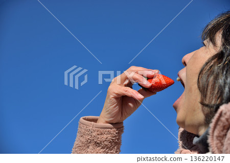 Blue sky and strawberries (Yayoihime strawberries from Saitama Prefecture) 136220147