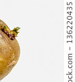 Sprout potatoes 136220435