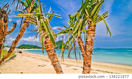 Beautiful view of white sand beach on tropical island, Mandalika beach, Lombok, Indonesia Beautiful view of white sand beach on tropical island, Mandalika beach, Lombok, Indonesia 136221877