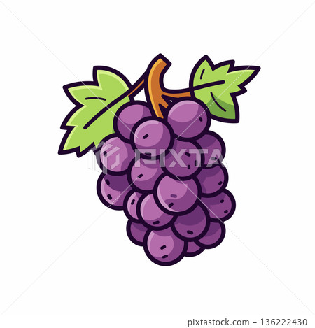 Fresh bunch of purple grapes hanging from vine 136222430