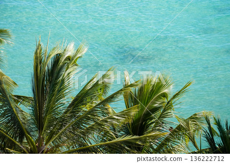 夏威夷威基基海灘和鑽石山,擁有壯麗的度假勝地景觀,碧海藍天盡收眼底。 夏威夷威基基海灘和鑽石山,擁有壯麗的度假勝地景觀,碧海藍天盡收眼底。 136222712