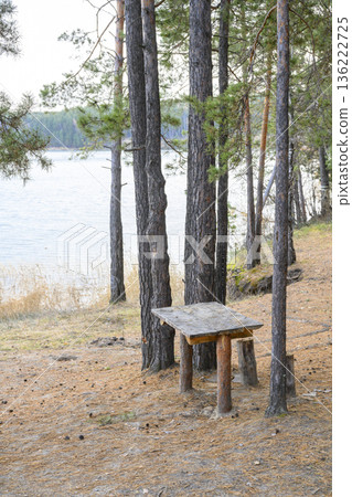 Wooden table and bench in the pine forest in autumn Wooden table and bench in the pine forest in autumn 136222725