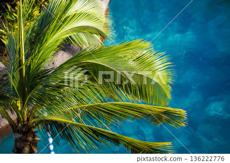 夏威夷威基基海灘和鑽石山,擁有壯麗的度假勝地景觀,碧海藍天盡收眼底。 夏威夷威基基海灘和鑽石山,擁有壯麗的度假勝地景觀,碧海藍天盡收眼底。 136222776