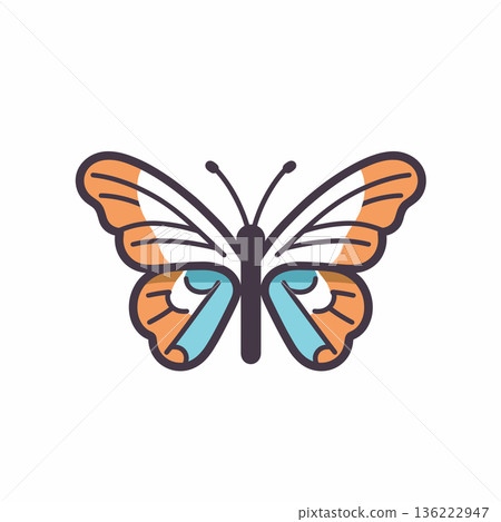 Colorful butterfly with unique patterns and design 136222947