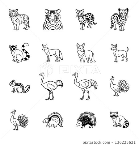 Animal outline illustrations collection with tiger lemur fox and peacock 136223621