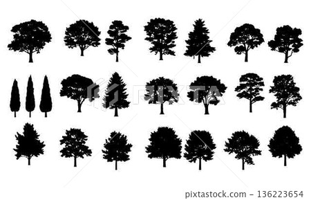 Various tree silhouettes collection including deciduous and evergreen trees graphic Various tree silhouettes collection including deciduous and evergreen trees graphic 136223654