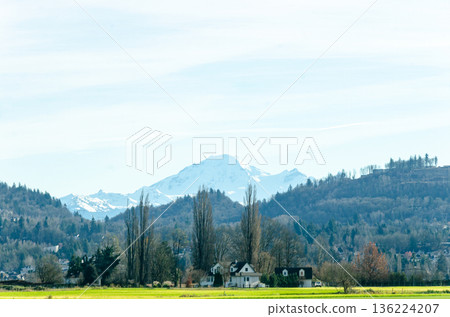 Agricultural farms in Chilliwack, Fraser Valley, BC, Canada. Mt. Baker is seen in the background 136224207
