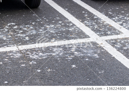 Parking lot with severe bird droppings 136224800