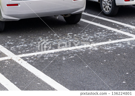 Parking lot with severe bird droppings Parking lot with severe bird droppings 136224801