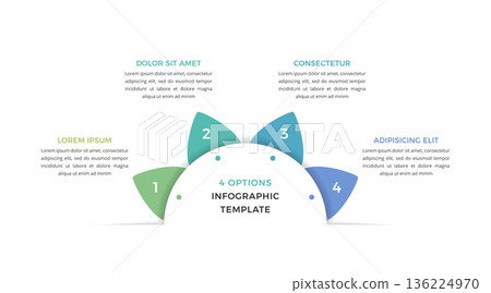 Four Options Infographic Template 136224970