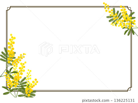 含羞草相框（A4橫向，透明背板） 136225131