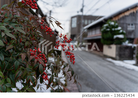Nandina berries and winter scenery of the cityscape 136225434