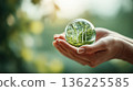 pair of hands gently cradles glass sphere containing miniature landscape with wind turbines, symbolizing renewable energy and environmental conservation. background is softly blurred with green 136225585